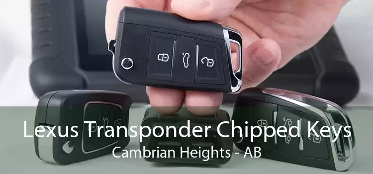 Lexus Transponder Chipped Keys Cambrian Heights - AB