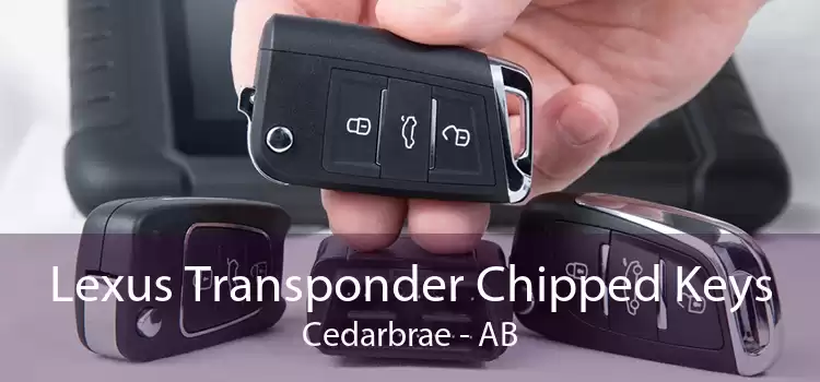 Lexus Transponder Chipped Keys Cedarbrae - AB