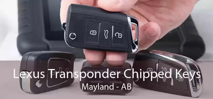 Lexus Transponder Chipped Keys Mayland - AB