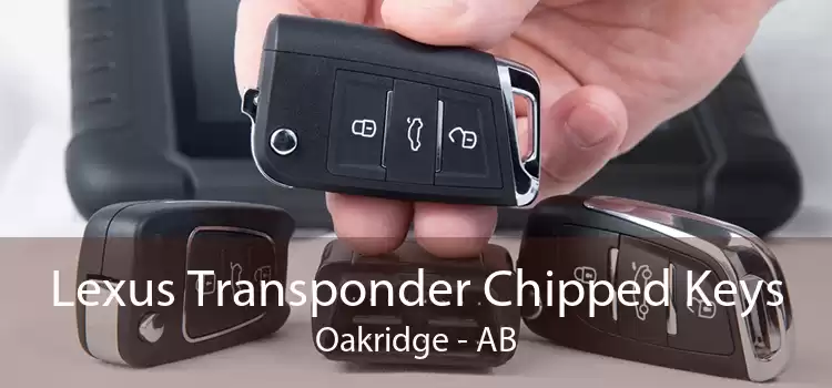 Lexus Transponder Chipped Keys Oakridge - AB