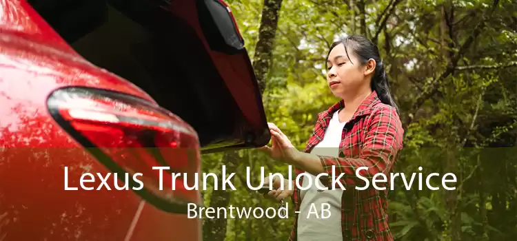 Lexus Trunk Unlock Service Brentwood - AB