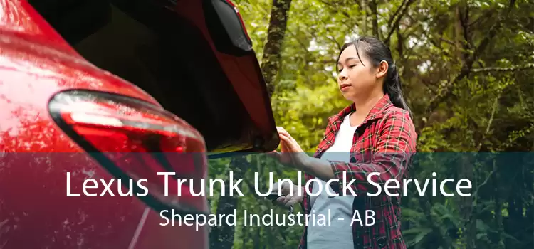 Lexus Trunk Unlock Service Shepard Industrial - AB