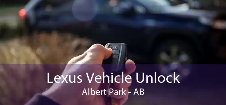 Lexus Vehicle Unlock Albert Park - AB