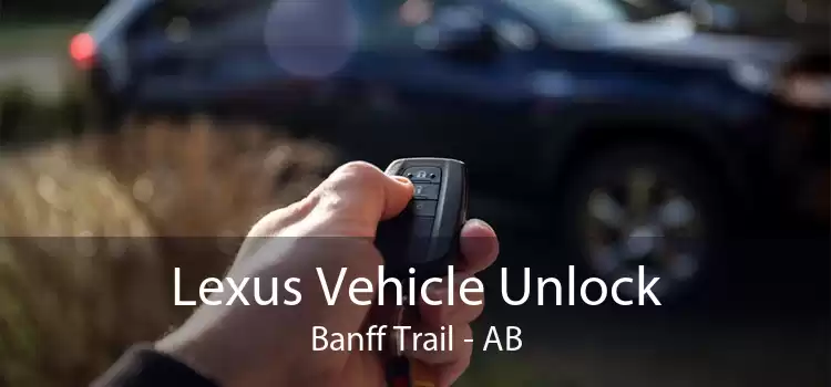 Lexus Vehicle Unlock Banff Trail - AB