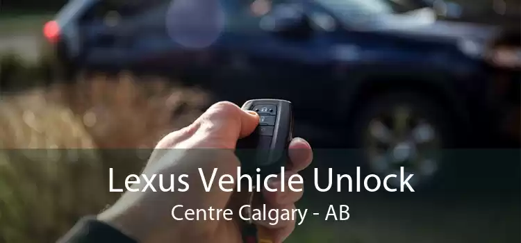 Lexus Vehicle Unlock Centre Calgary - AB