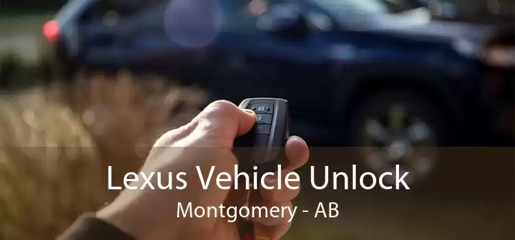 Lexus Vehicle Unlock Montgomery - AB