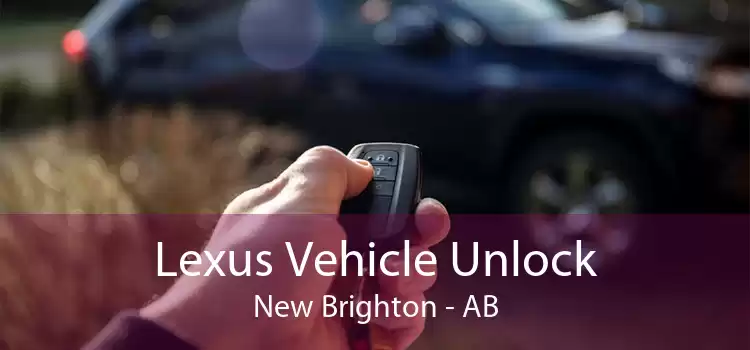 Lexus Vehicle Unlock New Brighton - AB