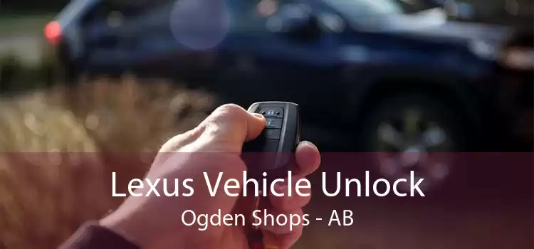 Lexus Vehicle Unlock Ogden Shops - AB