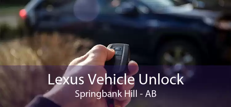 Lexus Vehicle Unlock Springbank Hill - AB