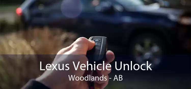 Lexus Vehicle Unlock Woodlands - AB