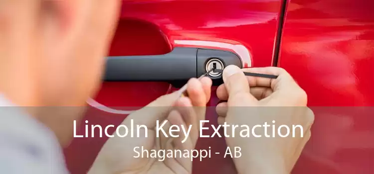 Lincoln Key Extraction Shaganappi - AB