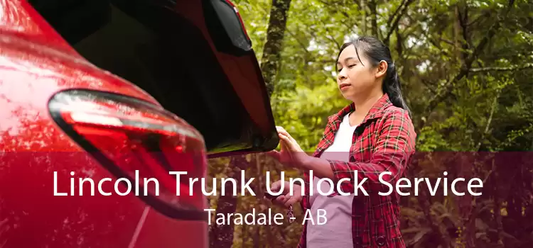 Lincoln Trunk Unlock Service Taradale - AB