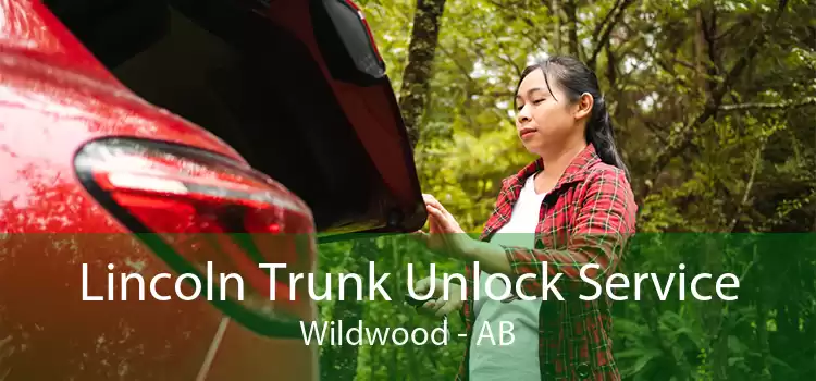 Lincoln Trunk Unlock Service Wildwood - AB