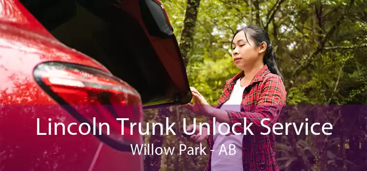 Lincoln Trunk Unlock Service Willow Park - AB