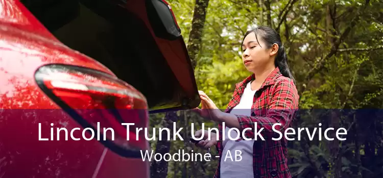 Lincoln Trunk Unlock Service Woodbine - AB