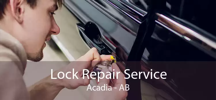Lock Repair Service Acadia - AB