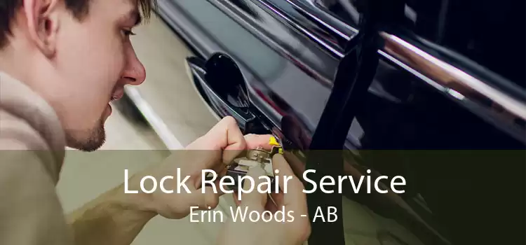 Lock Repair Service Erin Woods - AB