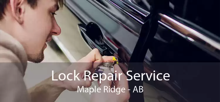 Lock Repair Service Maple Ridge - AB