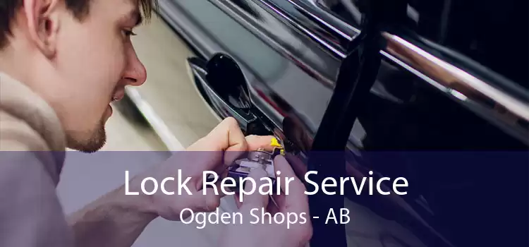 Lock Repair Service Ogden Shops - AB