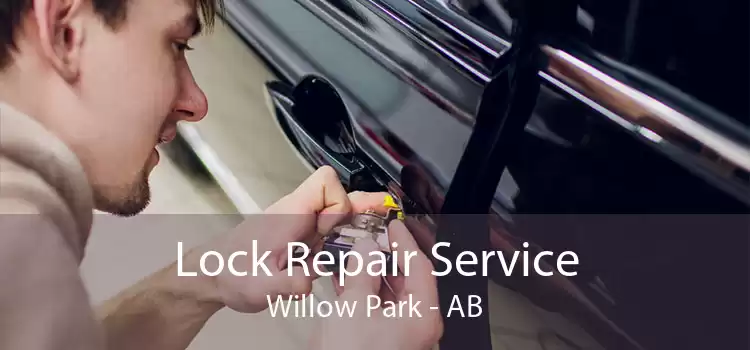 Lock Repair Service Willow Park - AB