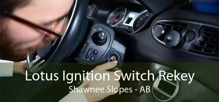 Lotus Ignition Switch Rekey Shawnee Slopes - AB