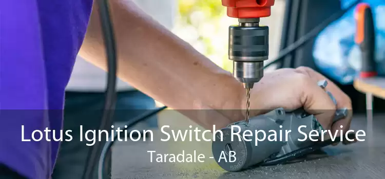 Lotus Ignition Switch Repair Service Taradale - AB