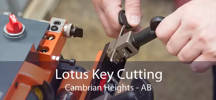 Lotus Key Cutting Cambrian Heights - AB