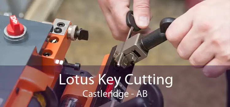 Lotus Key Cutting Castleridge - AB