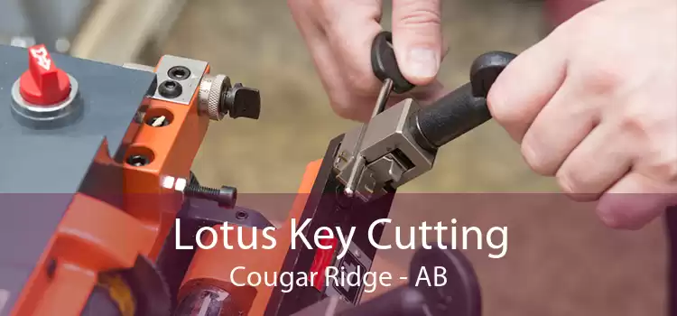 Lotus Key Cutting Cougar Ridge - AB