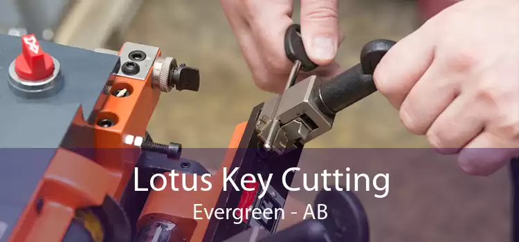 Lotus Key Cutting Evergreen - AB