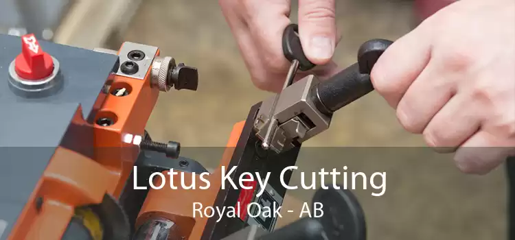 Lotus Key Cutting Royal Oak - AB