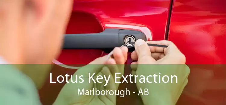 Lotus Key Extraction Marlborough - AB