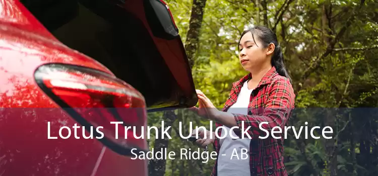 Lotus Trunk Unlock Service Saddle Ridge - AB