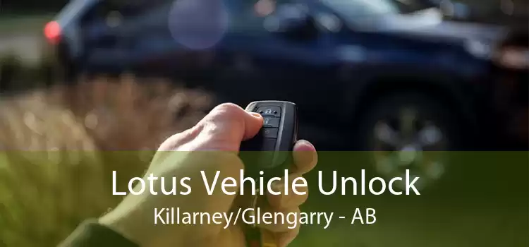 Lotus Vehicle Unlock Killarney/Glengarry - AB