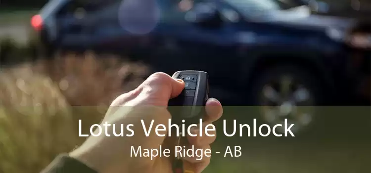Lotus Vehicle Unlock Maple Ridge - AB