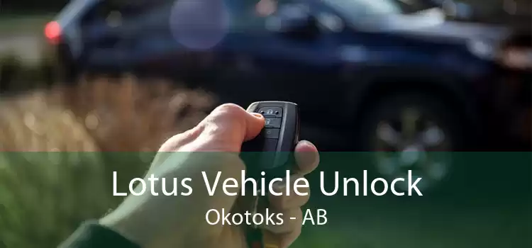Lotus Vehicle Unlock Okotoks - AB