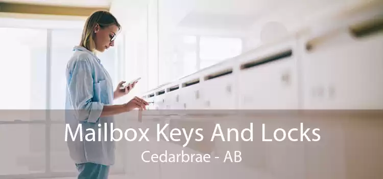 Mailbox Keys And Locks Cedarbrae - AB