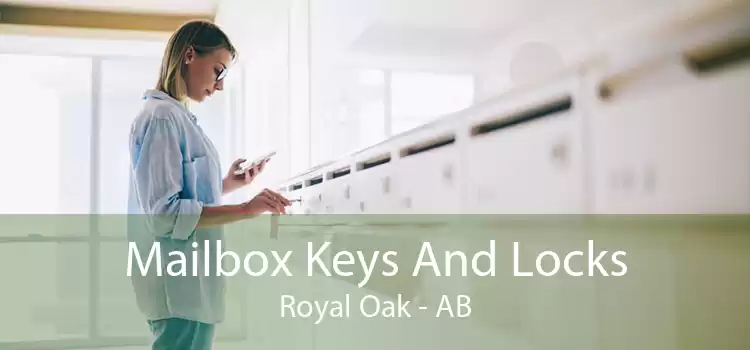Mailbox Keys And Locks Royal Oak - AB