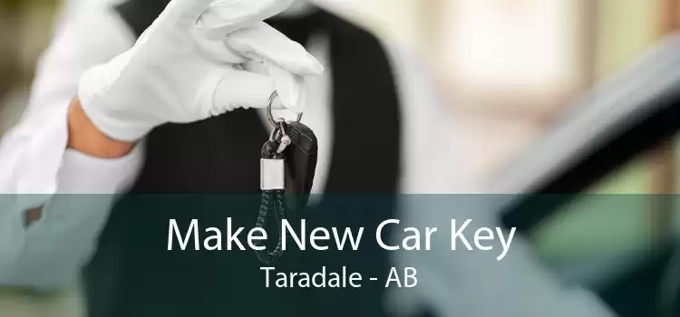 Make New Car Key Taradale - AB