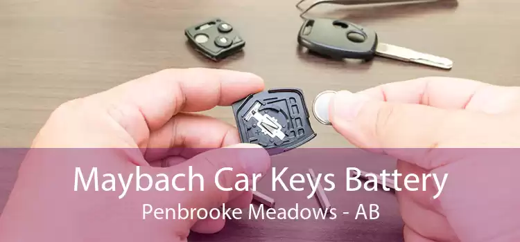 Maybach Car Keys Battery Penbrooke Meadows - AB