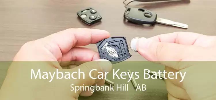 Maybach Car Keys Battery Springbank Hill - AB