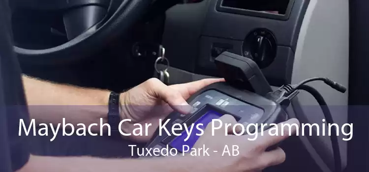 Maybach Car Keys Programming Tuxedo Park - AB