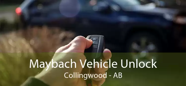 Maybach Vehicle Unlock Collingwood - AB
