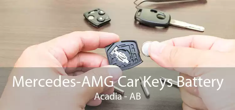 Mercedes-AMG Car Keys Battery Acadia - AB