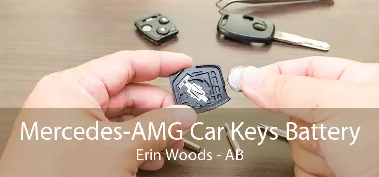 Mercedes-AMG Car Keys Battery Erin Woods - AB