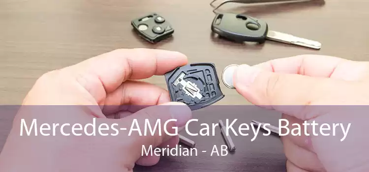 Mercedes-AMG Car Keys Battery Meridian - AB