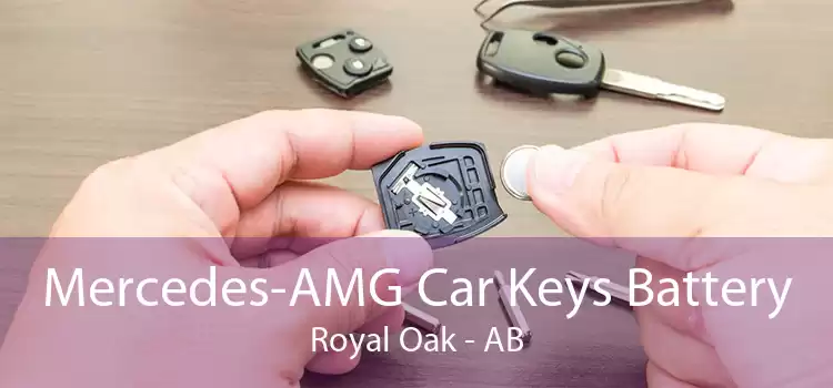 Mercedes-AMG Car Keys Battery Royal Oak - AB