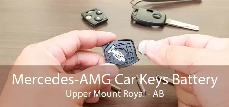 Mercedes-AMG Car Keys Battery Upper Mount Royal - AB