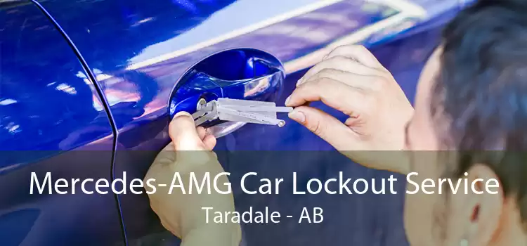 Mercedes-AMG Car Lockout Service Taradale - AB