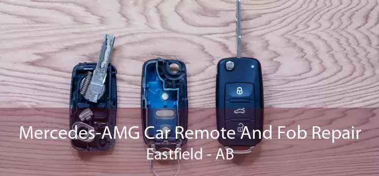 Mercedes-AMG Car Remote And Fob Repair Eastfield - AB